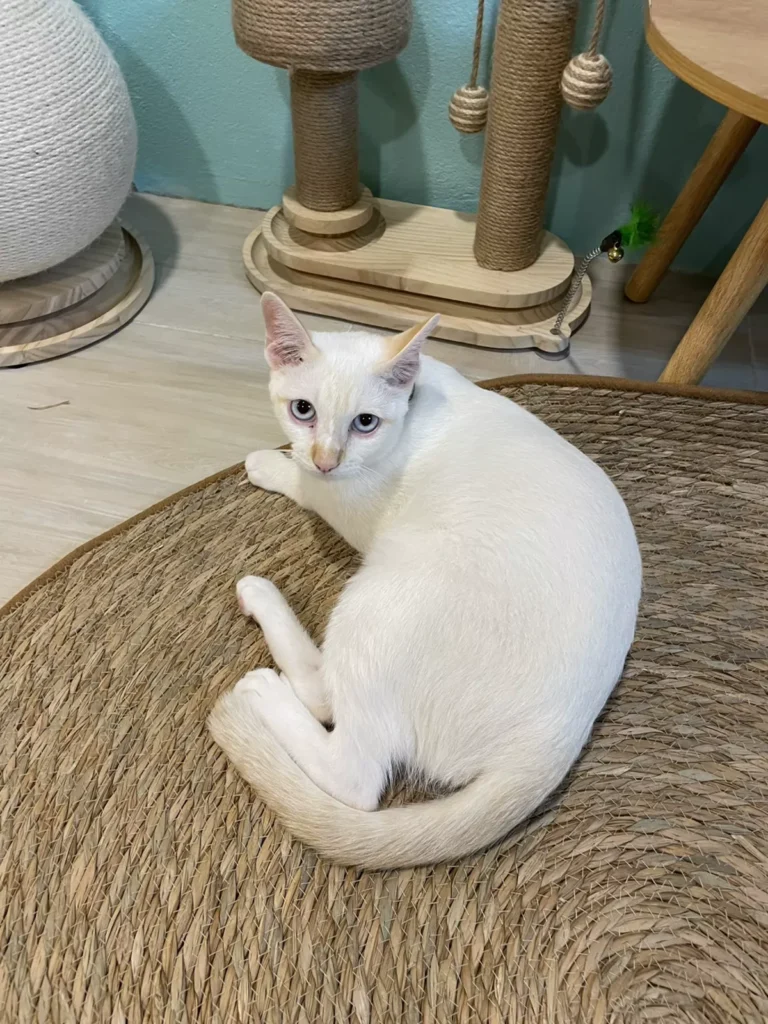 루카가 바깥을 바라보는 세 장면