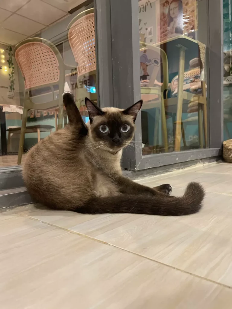 Ba khoảnh khắc yên lặng để hiểu Lucy