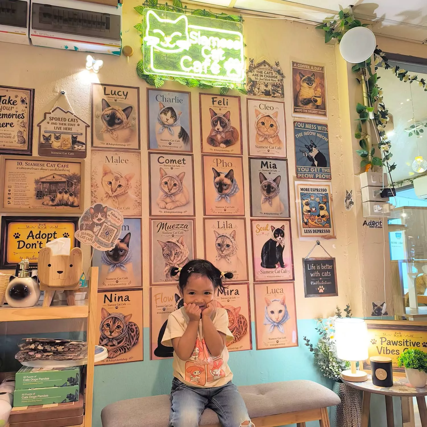 Best Cat Cafes in Bangkok: Compare 5 by Area & Visit Style Best Cat Cafes in Bangkok: Compare 5 by Area & Visit Style