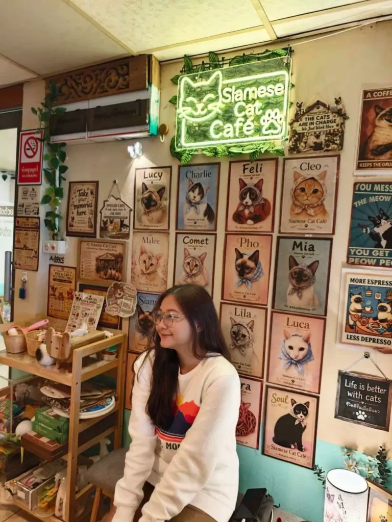 คาเฟ่แมวใกล้สนามบินสุวรรณภูมิ: เลือกตามเส้นทาง