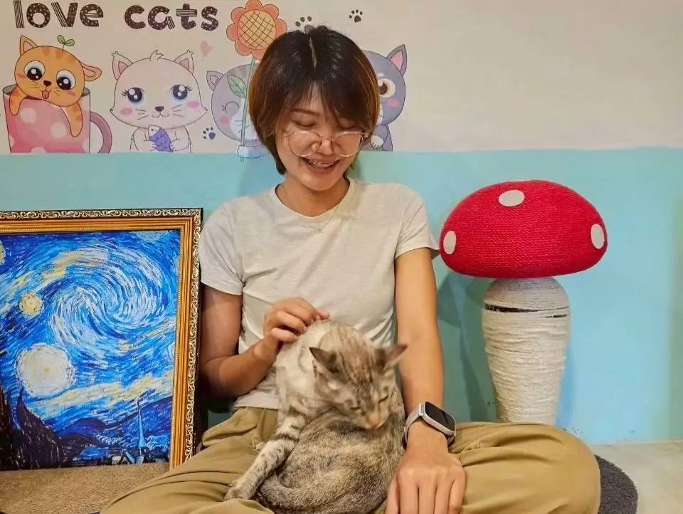 คาเฟ่แมวเข้าฟรี กรุงเทพ: ค่าเข้าและยอดขั้นต่ำ